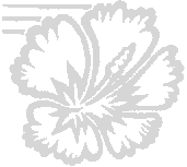 wpe1.gif (2691 bytes)