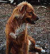 sister01.jpg (7449 bytes)