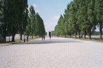 WT_024_1A.jpg