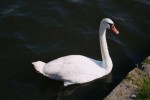 WT_007_18A.jpg