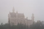 WT_017_8A.jpg