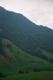 WT_018_7A.jpg