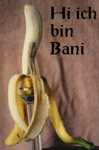 Bani