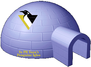 Back to PB Teen's Penguins Igloo