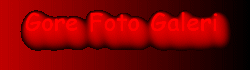 GORE FOTO GALER�