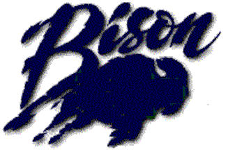 bison5.gif (15034 bytes)