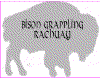 bison_nmtag.gif (20447 bytes)