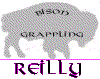 bison_patch.gif (11808 bytes)