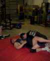 bruce_bri.jpg (62567 bytes)