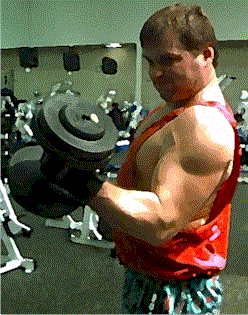 curl.gif (37487 bytes)