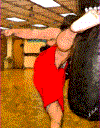 skick_fres.gif (99712 bytes)