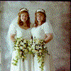 twinbrides.gif (94334 bytes)