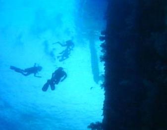 divers.jpg (8085 bytes)