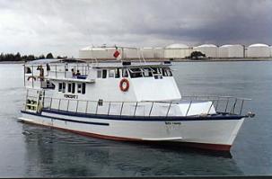 mv.jpg (11545 bytes)