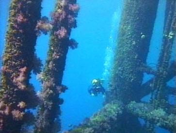 pillars2.jpg (18458 bytes)