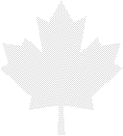 Maple leaf