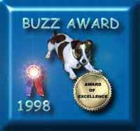 Buzz Award