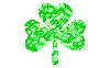 clover