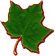 leaf7