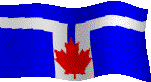 Torontolarge