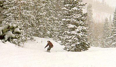 act_russ_board_1.JPG (39970 bytes)