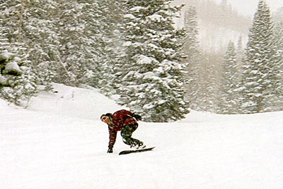 act_russ_board_2.JPG (35715 bytes)