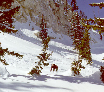 act_russ_rocks_orangutan.JPG (66270 bytes)