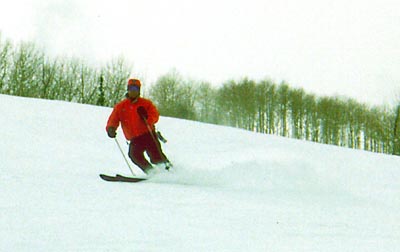 act_tigger_aspens.JPG (16433 bytes)