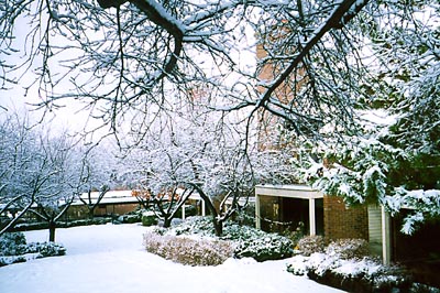 loc_condo_1.JPG (53847 bytes)