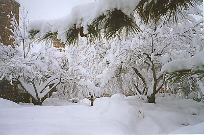 loc_condo_after_dump.JPG (41226 bytes)