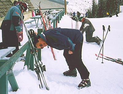 soc_scott_head_in_fence.JPG (41421 bytes)