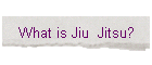 What is Jiu  Jitsu?