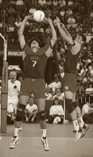 Una colocación de Falasca...