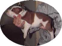 AT 5 WEEKS