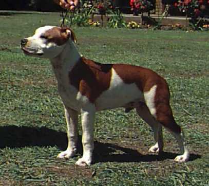 GEORDI AT 5 MONTHS