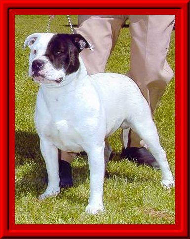 Murray-9 months