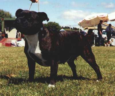 ROXY