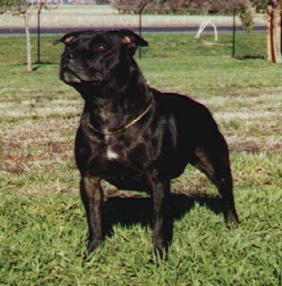 RUBY