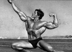 Arnold
