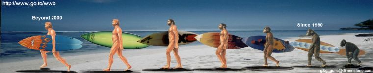 My boards' evolution - Click to enlarge!