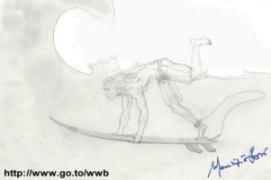 Come eseguire la duck-dive - Clicca per ingrandire!