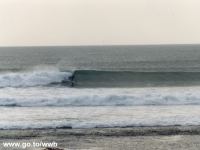 Clicca per ingrandire!