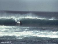 Clicca per ingrandire!