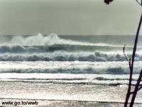 Clicca per ingrandire!