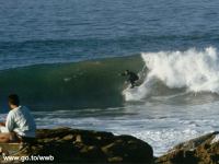 Clicca per ingrandire!