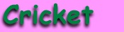 cricket