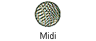 Midi