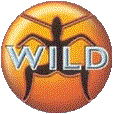 WILD FM!