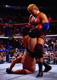 Owen vs. Ken Shamrock