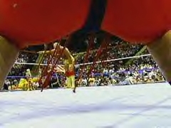 Yokozuna defeated Hogan in their rematch, King of the Ring 1993